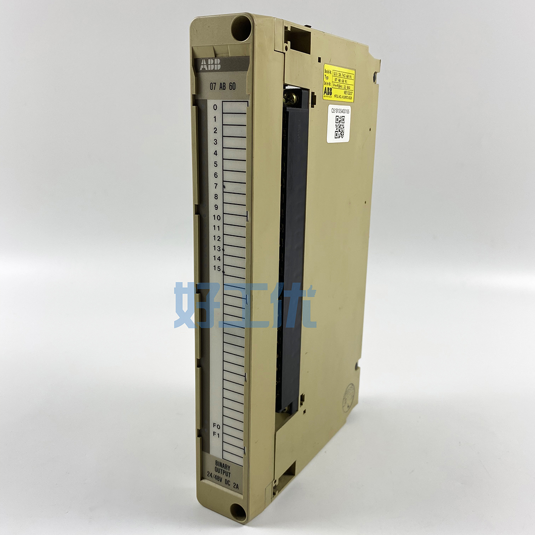 ABB	07 AB 60 R1	模块